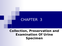 Chapter-3 Urinalysis and Renal Function Test (1).ppt